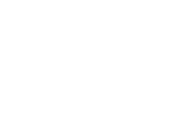 Arma2